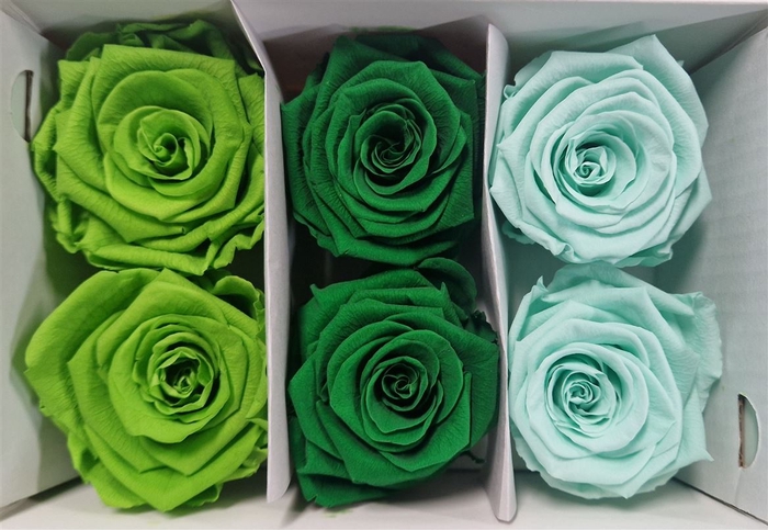 Ro Pres Classic Mix Green