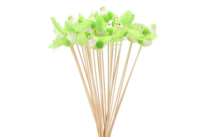 <h4>Pick Bird On Stick Light Green P/25 11x4x50cm</h4>