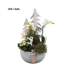 BMCE3211 Arrangement By Marleen Christmas Exclusives in keramiek schaal