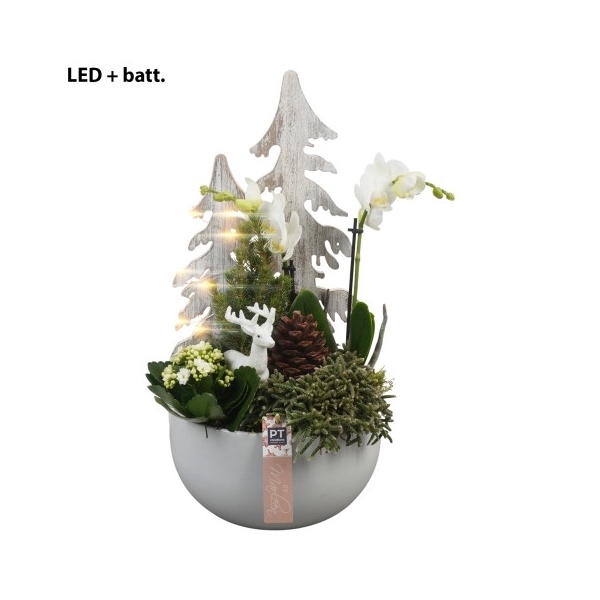 <h4>BMCE3211 Arrangement By Marleen Christmas Exclusives in keramiek schaal</h4>