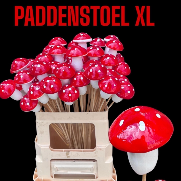 <h4>HUIS EN TUINDECO H%</h4>