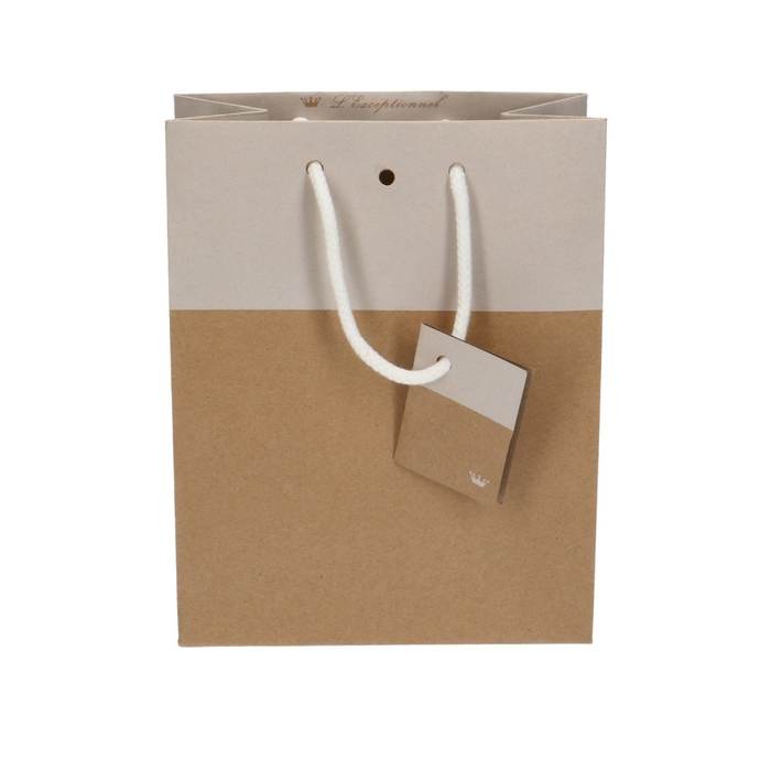 <h4>Bags Gift bag duo 10*18*22cm</h4>