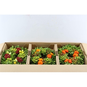 Wr Sierfruit 30cm (anttar)