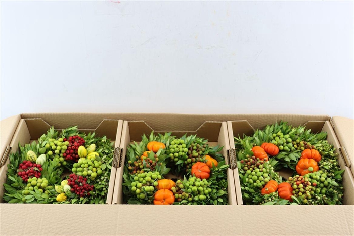 <h4>Wr Sierfruit 30cm (anttar)</h4>