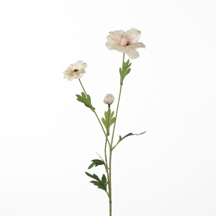 <h4>AF Ranunculus Bu L58cm Pink</h4>