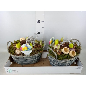 Arr.   Bol/Knolgewas L%