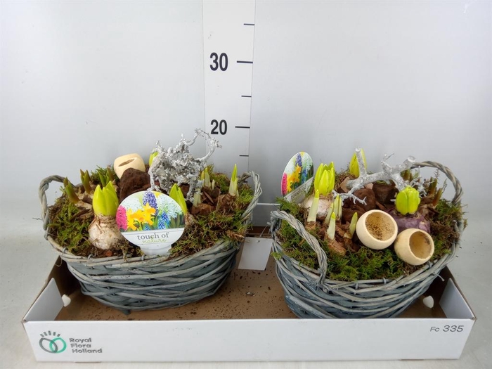 <h4>Arr.   Bol/Knolgewas L%</h4>