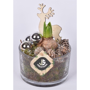 Glas cilinder schaal 13cm