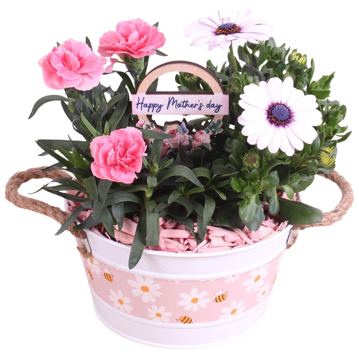 <h4>Mothersday Arr. Outdoor Zinc White + Flowers & Bees Ø17cm 2PP</h4>