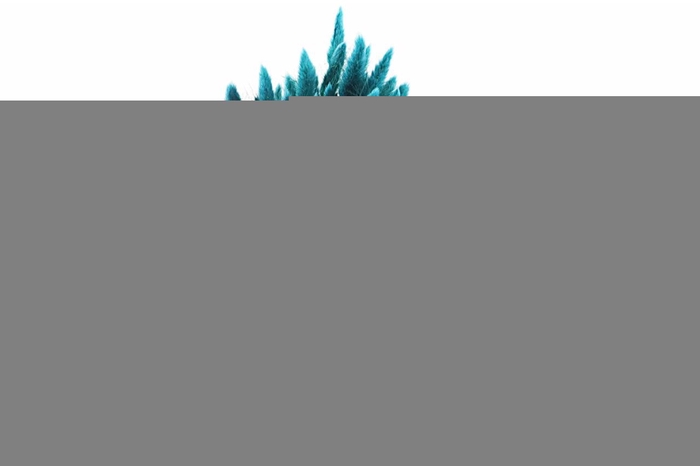 <h4>Lagurus Teal</h4>