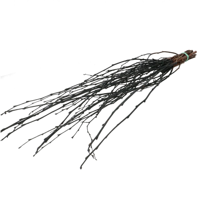 <h4>Droogdeco Berk tak 70cm</h4>