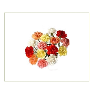 CRAVO SPRAY MISTO 070 CM MISTO