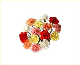<h4>CRAVO SPRAY MISTO 050 CM MISTO</h4>