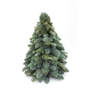 Nobilis Kerstboom 60cm