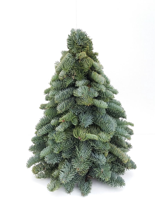 <h4>Nobilis Kerstboom 60cm</h4>