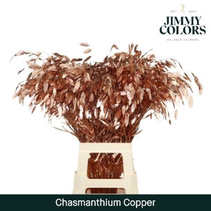 Chasmanthium L70 Metallic Copper