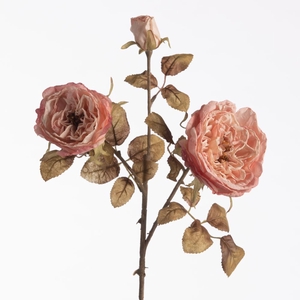 AF Rosa Dried x3 L60cm Pink