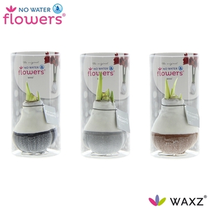 No Water Flowers Waxz® Dipz Natural in koker