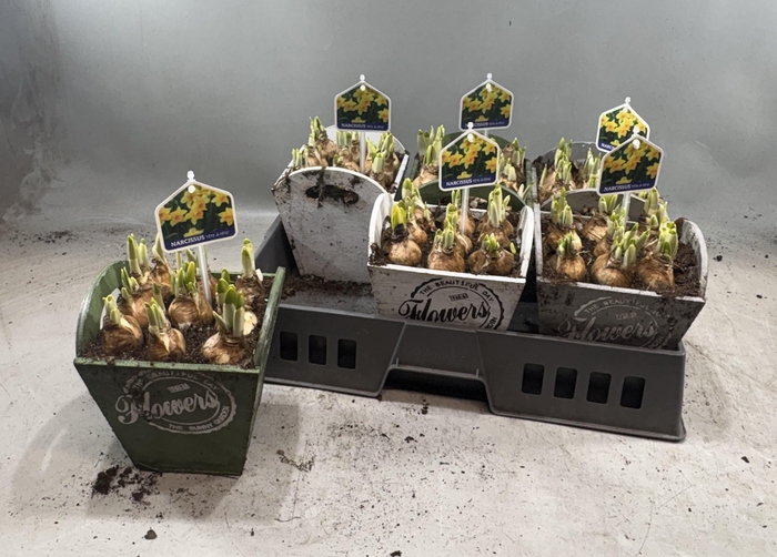 <h4>ARR N TETE A TETE</h4>