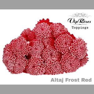 CHR T ALTAJ FROST RED
