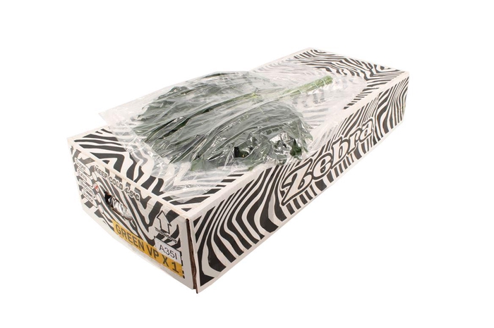 <h4>Aralia Large V P X 5</h4>