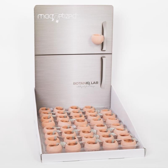 <h4>999625 Mini.Terracotta display</h4>