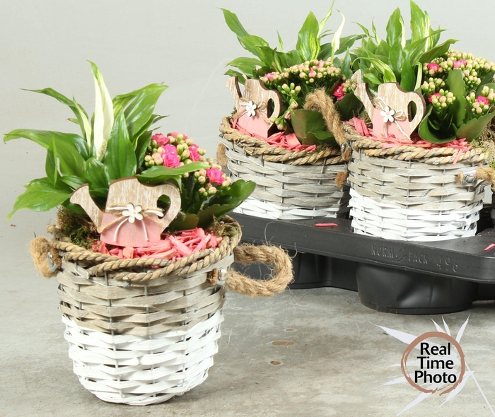 <h4>ARR KAMERPL</h4>