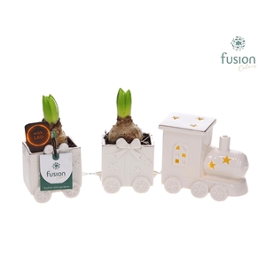 Keramiek LED Trein Medium met Hyacinten