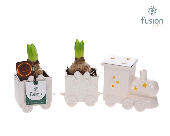 <h4>Keramiek LED Trein Medium met Hyacinten</h4>