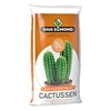 Cactusgrond 5 liter