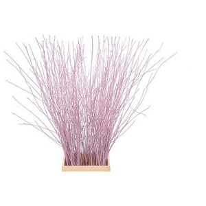 BETULA OV KLB H%