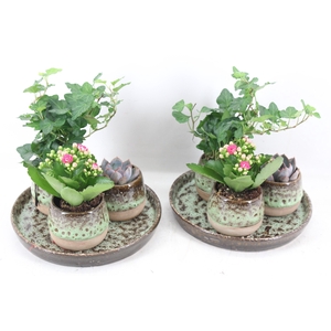 arr2 MB - Ker. luxe 3potjes mix indoor