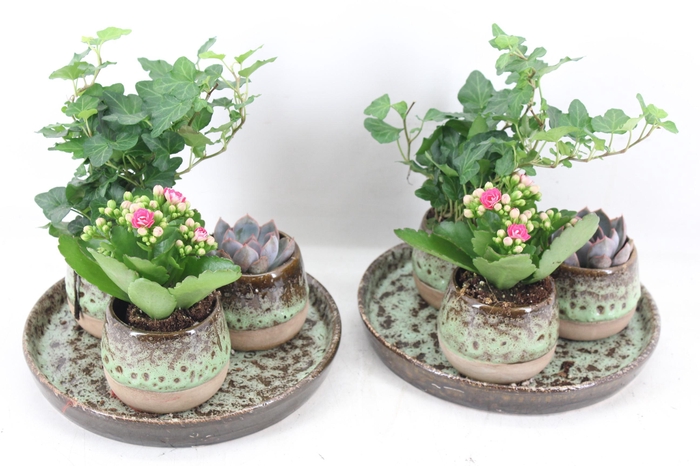 Arr2 Mb - Ker. Luxe 3potjes Mix Indoor