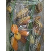EGGPLANTS (AUBERGINE) ORANGE 1KG