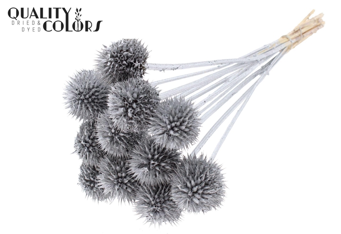 <h4>Droogbloemen   ...bewerkt H%</h4>