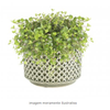 VASO THIES VERDE OLIVA D17 A15 IMP