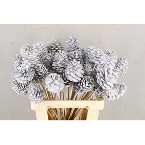 Stick Pine Cone White