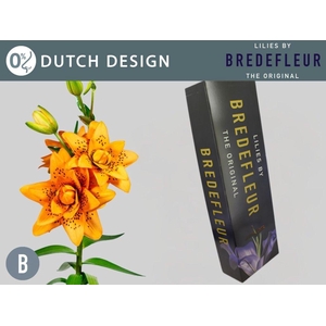 LI LA DUTCH DESIGN QUALITY BOX