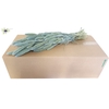 Setaria per bunch Frosted Light Blue