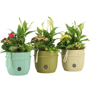 11610: Consideration arrangement