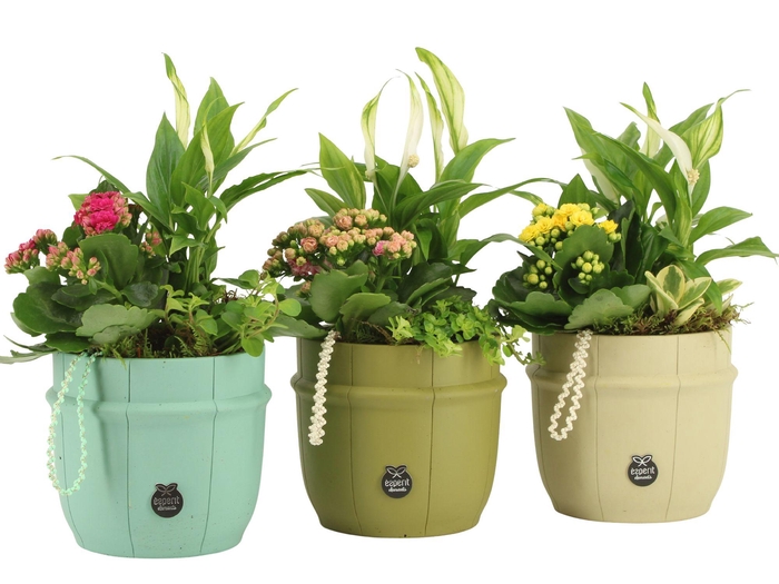 <h4>11610: Consideration arrangement</h4>