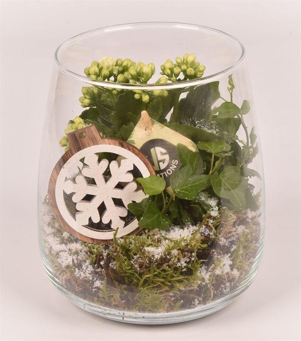 <h4>Glas vaas 14cm/ h 17cm</h4>