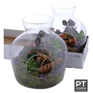 ARR KAMERPLANTEN H%