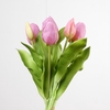 AF Tulip Bundle x7 L31cm Pink