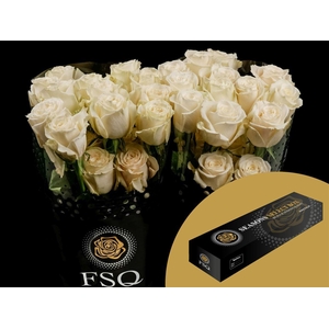 R GR Playa Blanca Box