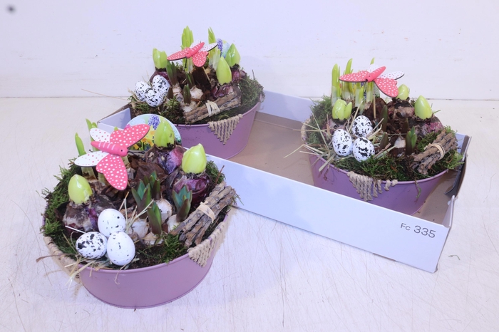 <h4>ARR BOL KNOLGEWAS</h4>