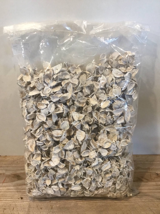 COTTON PODS FROSTED WHITE 500GR