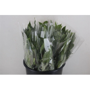 Boeket Aroma Mix P/b