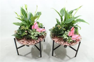 <h4>2671 Roze Glas Op Pootje</h4>