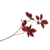 Silk Leaf Elder Dark Red 81cm